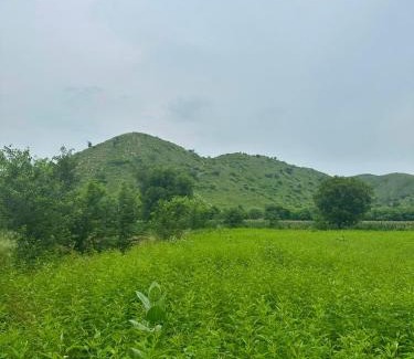 Kishangarh Bas House | Amrai by Kivaara