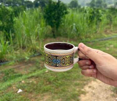 Kishangarh Bas House | Amrai by Kivaara