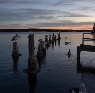 Greenwell Point Hotel | Anchor Bay Motel
