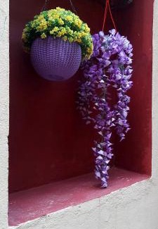Kalighat House | Ani's Homestay