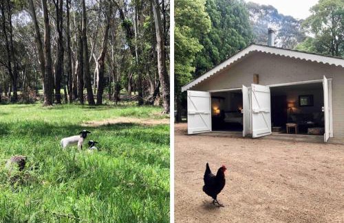 Fitzroy Falls House | Annies Barn, Fitzroy Falls