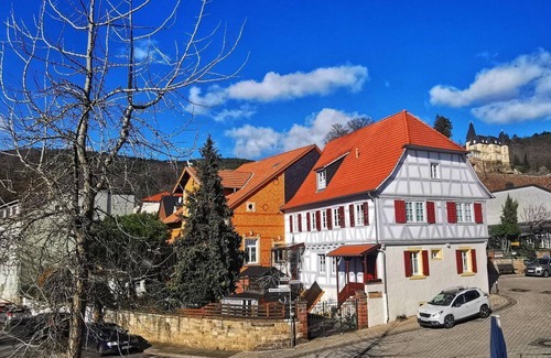 Neustadt an der Weinstrasse Apartment | Apartment 4 "Dornfelder" - Haardter winegrower