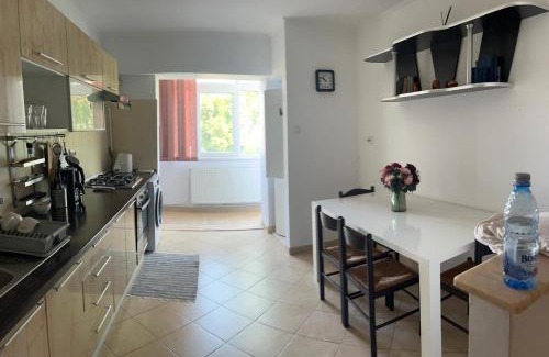 Satu Mare Apartment | Apart Deby