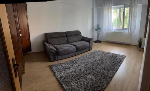 Satu Mare Apartment | Apart Deby