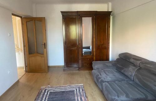Satu Mare Apartment | Apart Deby