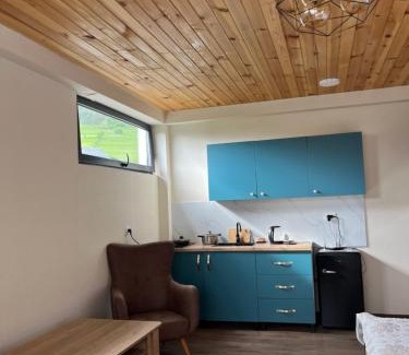 Bagvdanari Apartment | Apart-Hotel Seti
