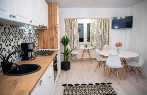 Tirgu Ocna Apartment | Apartament Daria
