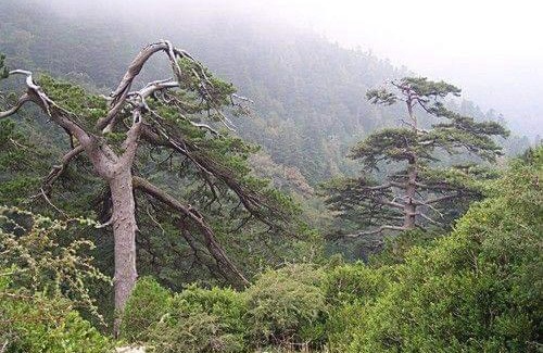 Orikum Apartment | Apartament Dukat Albania