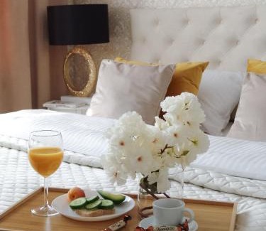 gmina Bobrowniki Apartment | Apartament Exclusive Luxor Bobrowniki Katowice Pyrzowice