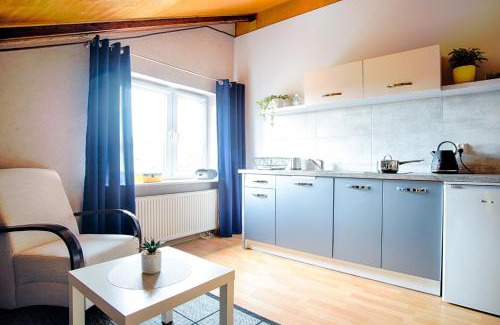 Cetniewo House | Apartament i pokoje gościnne Zawisza