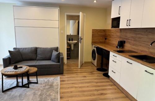 Wisla House | Apartament i Pokoje Gościnne u Lusi - BASEN z podgrzewaną wodą i zadaszeniem