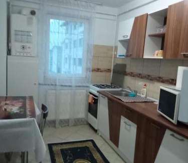 Suceava Apartment | APARTAMENT IPOTESTI