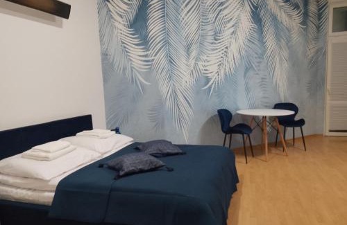 Nowy Sacz Apartment | Apartament Niebieski Lwowska 56