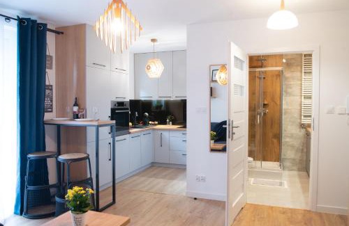 Kielce Apartment | Apartament Niebieski - Okrzei (Garaż, Targi)