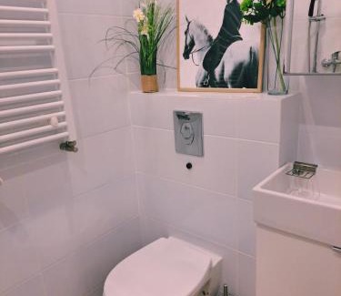 Szamotuy Apartment | Apartament Olimpijski