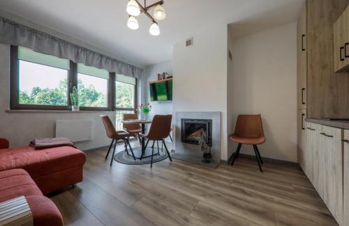 Bialka Tatrzanska Apartment | Apartament Premium 6