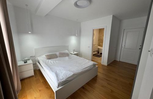 Baia Mare Apartment | Apartament Revolution