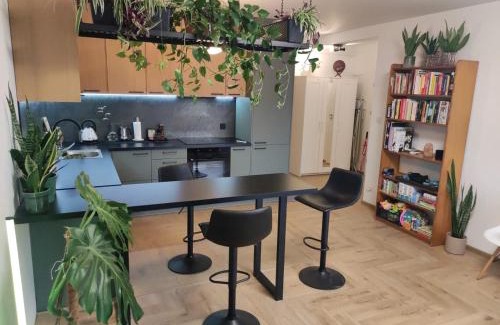 Lancut Apartment | Apartament Rutkiewicz