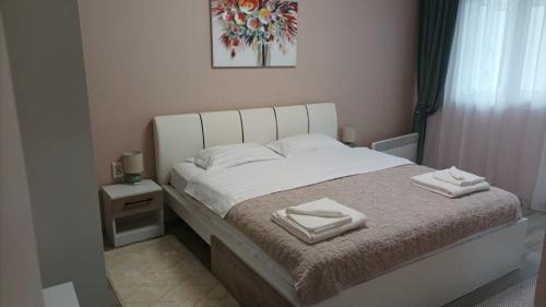 Baile Herculane Apartment | Apartament Serenity