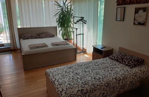 Panevezys Apartment | Apartamentai Luna