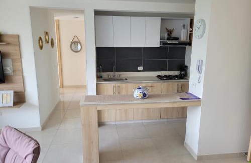 Ibague Apartment | Apartamento en la Samaria - Ibagué