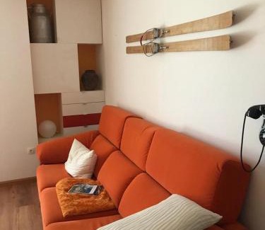 Broto Apartment | Apartamento La Boira
