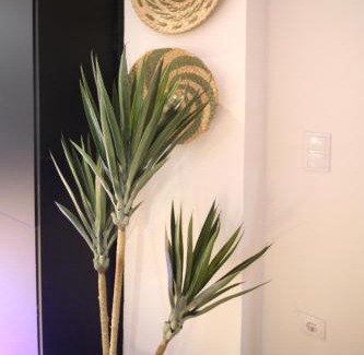 Camins al Grau Apartment | Apartamento Menorca Apartamento n1