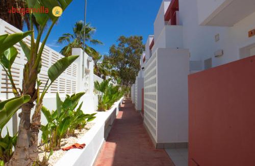 San Jose Apartment | Apartamentos la Buganvilla