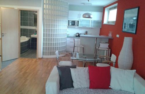 Luhacovice Apartment | Apartmán Anežka