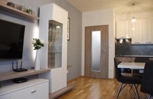 Cerny Dul Apartment | Apartmán Bára