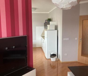 Velke Losiny Apartment | Apartmán Edita