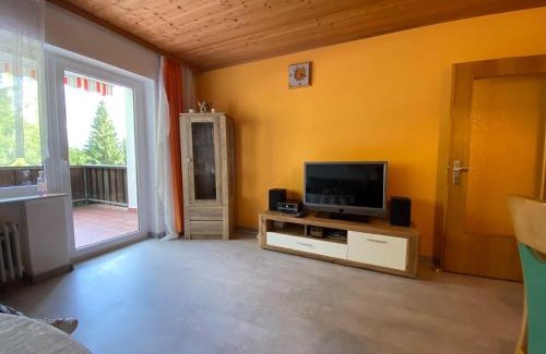 Haidmuhle Apartment | Apartmán Frauenberg - Haidmühle