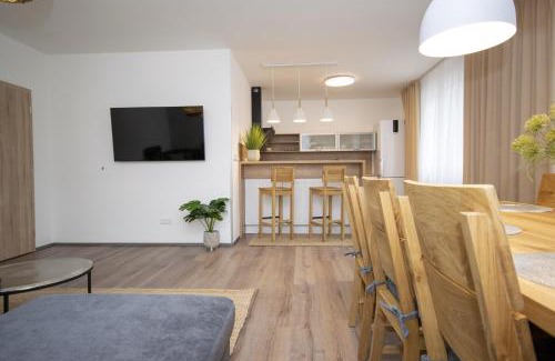 Frymburk Apartment | Apartmán LIPNO Z1 - Frymburk