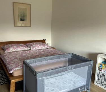 Kasperske Hory Apartment | Apartmán se slunnou teráskou v Kašperkách