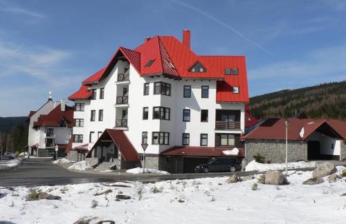 Harrachov Apartment | Apartmán SKOK
