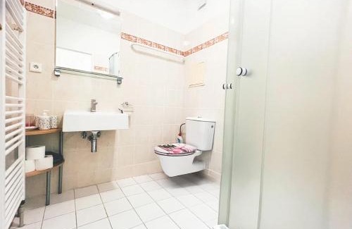 Harrachov Apartment | Apartmán SKOK