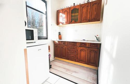 Harrachov Apartment | Apartmán SKOK