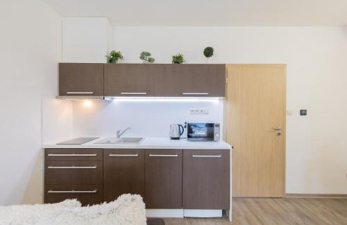 Velke Losiny Apartment | Apartmán Sophia 4 s terasou