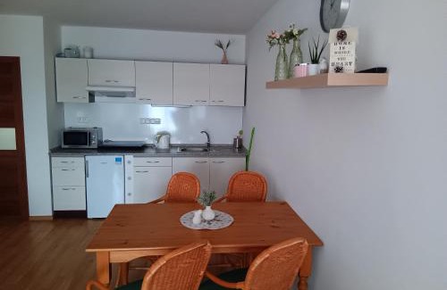 Lipno nad Vltavou Apartment | Apartmán u Šedů
