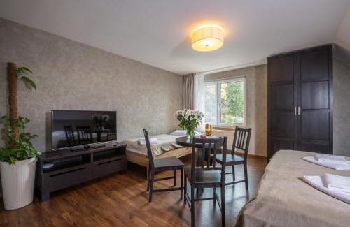 Bedrichov Apartment | Apartmány 294