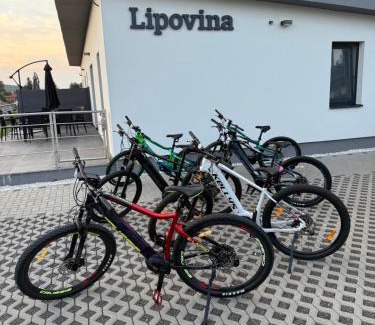 Mala Trna Apartment | Apartmány Lipovina