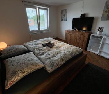 Dolni Ujezd Apartment | Apartmány MonTexas