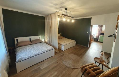 Dolni Rychnov Apartment | Apartmány Silvestr
