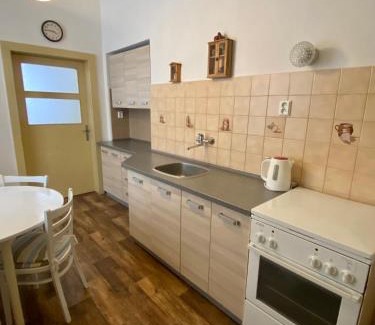 Rokytnice nad Jizerou Apartment | Apartma 299