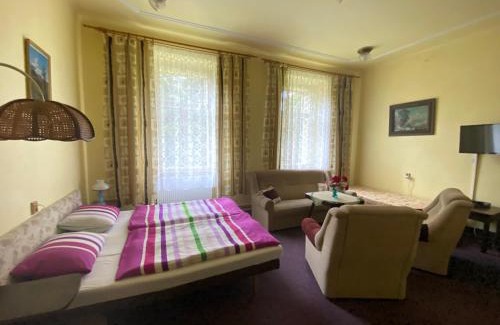 Rokytnice nad Jizerou Apartment | Apartma 299