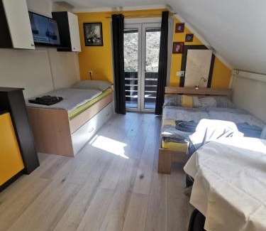 Bohinjska Bistrica Apartment | Apartma LINA, Encijan D-38