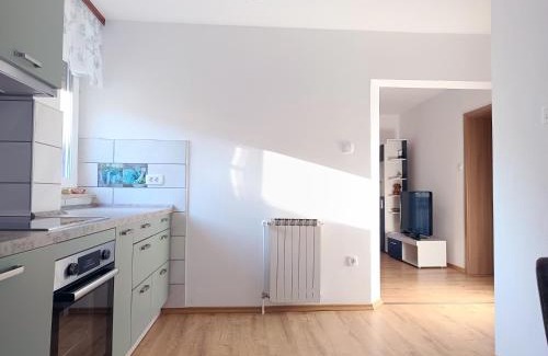 Tolmin Apartment | Apartma Vodrice