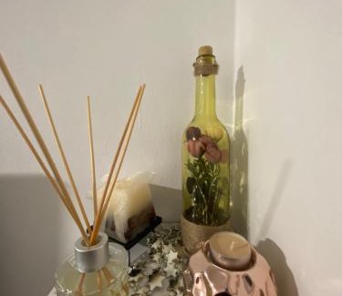 Babanovac Apartment | Apartman Arya Vlasic