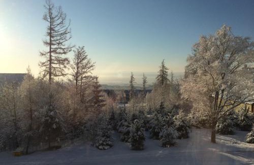 Novy Smokovec Apartment | Apartman Bery, Vysoké Tatry