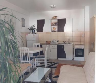 Velji Vinogradi Apartment | Apartman Budva